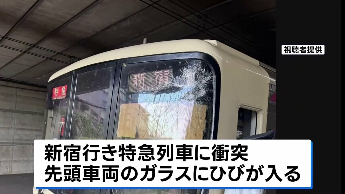 京王 線 倒木