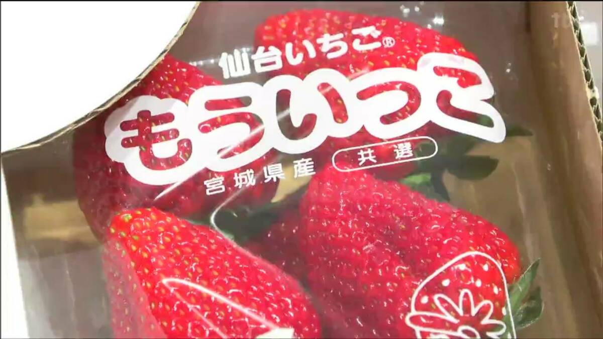 まもなくシーズン終了「完熟いちご」を2割ほど安く販売 宮城・山元町
