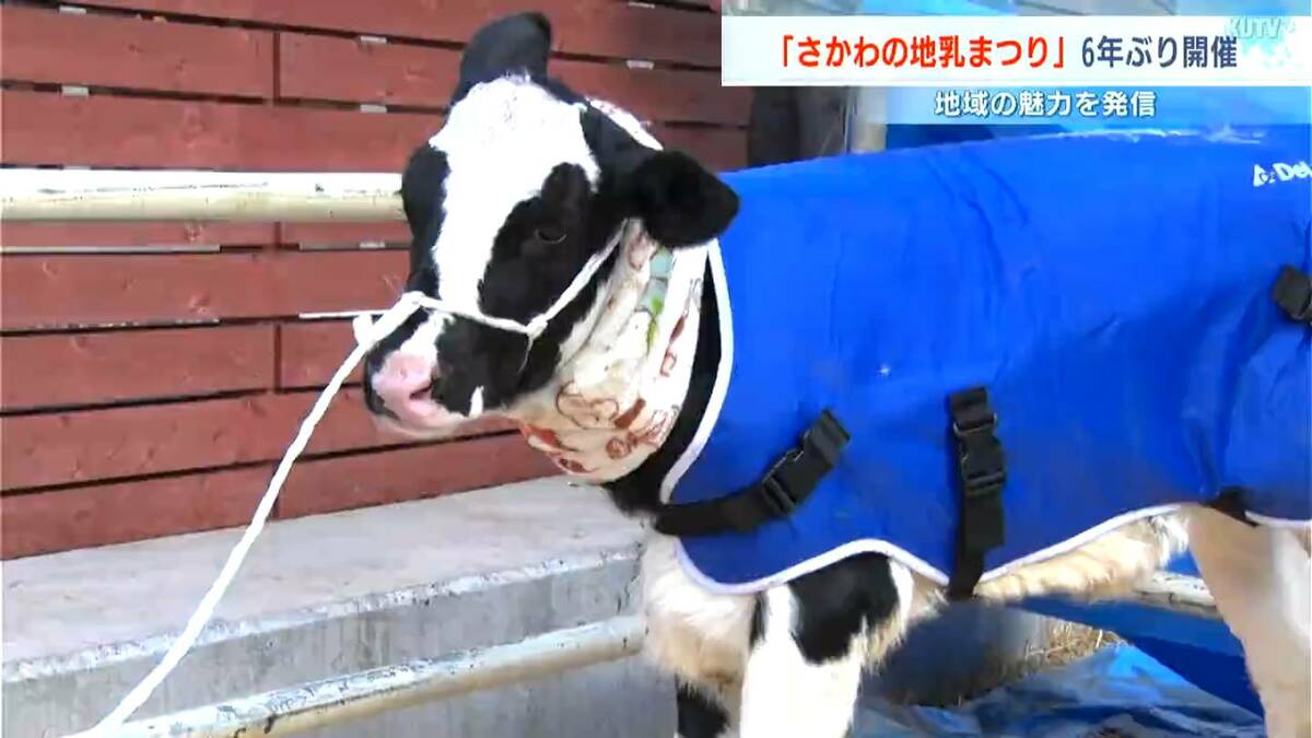 6年ぶりの復活！佐川町で「さかわの地乳まつり」 濃厚グルメに大行列