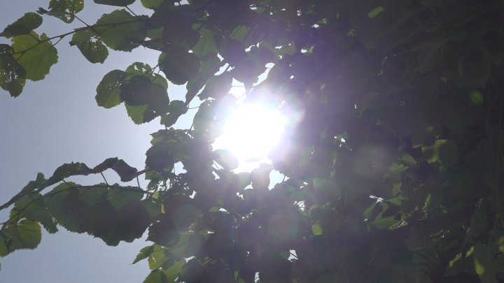 すでに30度を超える真夏日　大月が30.4度、河口湖が28.3度　熱中症に注意　山梨