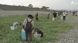 「ごみを拾わないと海がかわいそう」沼津市の海岸で釣り人と子どもたちが清掃活動＝静岡・沼津市|TBS NEWS DIG