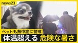 「散歩控える勇気を」ペットも熱中症に警戒…猛暑日71地点　梅雨明けはいつに？　ビアガーデンで働くスタッフは“命綱”ネッククーラーで暑さ対策【news23】|TBS NEWS DIG