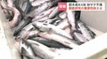 「今すぐに研究加速を」秋サケ来遊数が2025年より約47％減少の深刻な不漁予想受け　鈴木農水大臣がふ化場視察で重要性強調　北海道標津町|TBS NEWS DIG