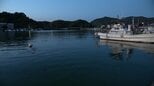 「父が海に浮いている」86歳男性が死亡…自身の船の横でうつ伏せで浮かぶ、船を見に行き事故に遭った可能性視野に捜査【高知・宿毛】　|　高知のニュース・天気｜KUTV NEWS | KUTVテレビ高知
