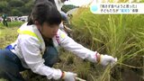 「どれだけ大変なのかが分かった」「残さず食べようと思った」小学生が“稲刈り”体験 | 高知のニュース・天気|KUTV NEWS | KUTVテレビ高知
