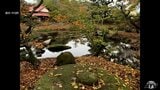 本州最北端の名勝庭園に　青森県中泊町の旧家宮越家の庭園「静川園」が国の名勝指定へ|TBS NEWS DIG