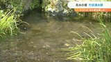 名水の里 およそ60か所の竹田市の湧水群 | 大分のニュース|OBS NEWS|大分放送