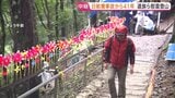 「今年も来たよっていう気持ち」雨が降り続く中、遺族らが慰霊登山 520人が犠牲となった日航機事故から41年|TBS NEWS DIG