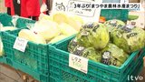 「愛媛を再認識!」 3年ぶりに開催「まつやま農林水産まつり」(愛媛・松山市) | 愛媛のニュース - Nスタえひめ|あいテレビは6チャンネル
