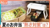 【夏の弁当作り 注意点は？】季節外れの暑さ「お弁当事情」調査、忙しい朝の粗熱対策 5分で解消【Nスタ解説】|TBS NEWS DIG