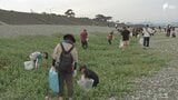 「ごみを拾わないと海がかわいそう」沼津市の海岸で釣り人と子どもたちが清掃活動=静岡・沼津市|TBS NEWS DIG