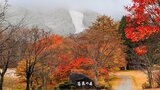 【初冠雪】広島県内で今季初めての雪 中国山地では各地で初冠雪 紅葉と雪のコラボも 例年より10日ほど遅く 冬型の気圧配置で上空にはこの秋一番強い寒気流入で|TBS NEWS DIG