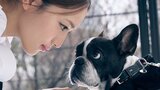 【 川口春奈 】愛犬アムちゃんが「お空へ旅立った」「可愛い可愛いアムちゃん ずっとずっと大好きだよ」|TBS NEWS DIG