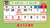 46.7％が「自宅派」と回答 物価高と円安がGWレジャーを直撃　節約のキーワードは「ずらし旅」|TBS NEWS DIG