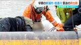「助けてください」早朝の信濃川に転落した男性が… 犬と散歩中の男性が“とっさの判断” カメラが目撃した救出劇の一部始終　新潟市中央区|TBS NEWS DIG