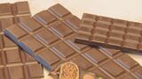 大江ノ郷自然牧場にチョコレート専門店オープン　社長自らカカオ豆と向き合う…「フェアトレード」でカカオ豆から製品まで一貫して製作　|　BSSニュース | BSS山陰放送