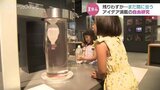 伝統工芸に触れたり物理を楽しく学んだり!夏休みも10日あまり…今からできる!自由研究アイディア集 富山|TBS NEWS DIG
