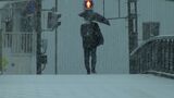 「いつもの寒さとは比べものにならない」岡山県のすべての観測地点で氷点下 岡山市日応寺では今季最低のマイナス5.6度 |TBS NEWS DIG