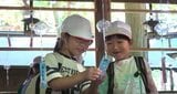 涼やかな気持ちで参拝して…長野・諏訪市の諏訪大社で風鈴の涼しげな音が響く…約1300個の風鈴が心地よい音色奏でる…小学校の児童約90人が風鈴に願い書いた短冊　|　SBC NEWS | 長野のニュース | SBC信越放送