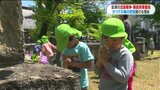 戊辰戦争西軍墓地　薩摩など「かつての敵」の慰霊続ける福島・会津の人たち…「薩長土肥に対する確執はあったけど…」　|　鹿児島のニュース｜MBC NEWS｜南日本放送