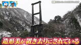 廃道の先に眠る吊り橋の遺構 「無骨なくせに美しい」 移り変わる橋の歴史【道との遭遇】|TBS NEWS DIG
