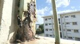 老朽化で鉄錆び・コンクリートひび割れ・床の傷み 建築から半世紀 最大規模団地で進む建替え計画 | 大分のニュース|OBS NEWS|大分放送