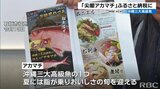 その名も「尖閣アカマチ」 石垣市のふるさと納税に登場 沖縄の三大高級魚 | 沖縄のニュース|RBC 琉球放送