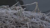 山中湖でー11.8度 今季一番の冷え込み 12日(日)は河口湖で数センチの積雪が予想 山梨|TBS NEWS DIG