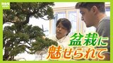 世界的な『盆栽』ブーム到来！園主に外国人フォロワー10万人　スペインから弟子入りまで！「樹が何を求めているのかを理解しないといけないのが面白い」BONSAIの魅力|TBS NEWS DIG