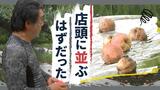 フルーツの里にも濁流が流れた 農業被害も深刻 九州大雨 | 福岡のニュース|RKB NEWS|RKB毎日放送