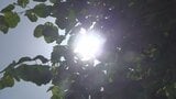 すでに30度を超える真夏日 大月が30.4度、河口湖が28.3度 熱中症に注意 山梨 | 山梨のニュース | UTYテレビ山梨