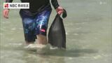 海開きを前に海水浴場で水質検査　|　長崎のニュース | 天気 | NBC長崎放送