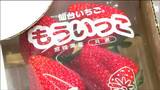 まもなくシーズン終了「完熟いちご」を２割ほど安く販売　宮城・山元町　|　宮城のニュース│tbc NEWS│tbc東北放送