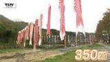 ゴールデンウィークお出かけスポット 村山高瀬川に色とりどりの鯉のぼり!こいのぼりおじさんは「すべて遊び心」(山形市) | 山形のニュース│TUYテレビユー山形