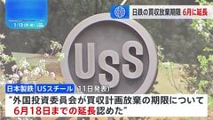 日鉄のUSスチール買収計画の放棄手続き期限　6月18日まで延長認める　米政府の「外国投資委員会」 当初は2月2日までに手続き完了求める| TBS CROSS DIG with Bloomberg