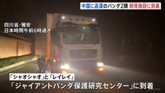 中国返還の双子パンダ「シャオシャオ」と「レイレイ」 飼育施設に到着　施設周辺には日本人の姿も「無事に着いてホッとしています」　| TBS CROSS DIG with Bloomberg