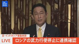 【LIVE】ロシアの“武力行使停止”へ連携確認 日・インドネシア首脳会談を終えて岸田総理コメント(2022年4月29日)|TBS NEWS DIG