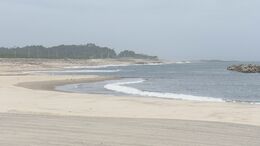 東北南部が梅雨明け　今後は厳しい暑さに　新地町では海開き　福島　|　福島のニュース│TUF