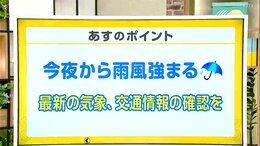 高知の天気 31日 広い範囲で雨風強まるおそれ 山岸拓気象予報士が解説|TBS NEWS DIG