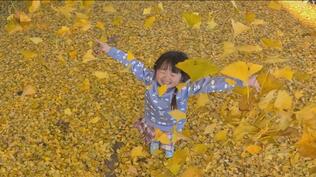 【映像】守り続けたい美しい風景…福島の春夏秋冬　TUFカメラマン撮影、珠玉の映像集【四季カメラ2023総集編②】　|　福島のニュース│TUF