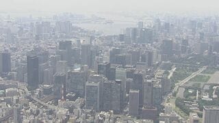 8月の倒産件数751件 3か月連続で前年上回る 最多はサービス業184件…“トランプ関税”関連倒産も発生| TBS CROSS DIG with Bloomberg