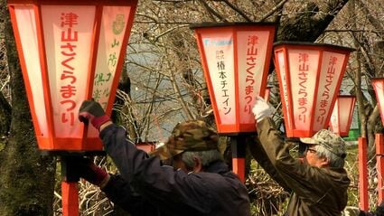 日本さくら名所100選「津山さくらまつり」3月28日開幕 夜桜を楽しむ