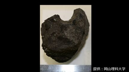 香川県は恐竜化石の産地か 38年前に見つかった化石は「ハドロサウルス