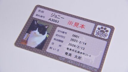 猫は室内飼い」ネコ用の“まやにゃんバーカード”4月から発行へ 鹿児島