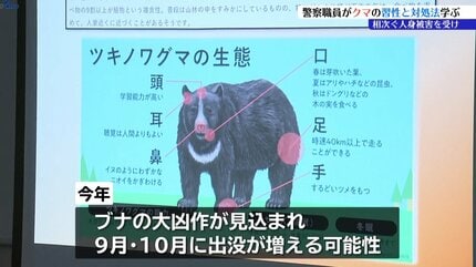 花火やクマスプレーを用いた訓練行う クマへの対応に備えて現場対応