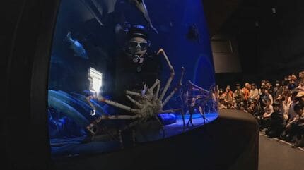 竹島水族館 リニューアルから半年…どうなった？タカアシガニの