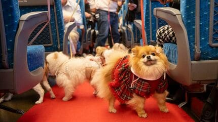 新幹線内で愛犬をケージから出せる！｢わんわんエクスプレス｣ 今年も