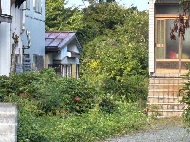 米沢市のクマ　子グマとみられる影を確認も確証得られず　通学時間帯後に爆竹使用で動きを確認へ（山形）|TBS NEWS DIG
