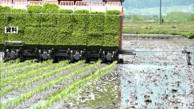 青森県内の田植え最盛期を迎える 進ちょく率は5月25日現在で85% 平年を7ポイントほど上回る|TBS NEWS DIG