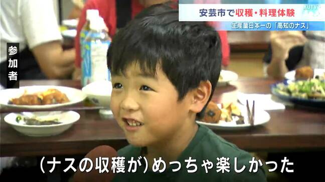 生産量日本一!高知のナスを袋いっぱいに収穫 安芸市で収穫&料理教室【高知】|TBS NEWS DIG